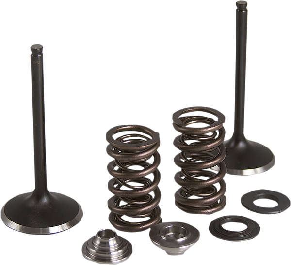 Stainless Steel Conversion Valve And Spring Kit, 1, nordicamoto.ro