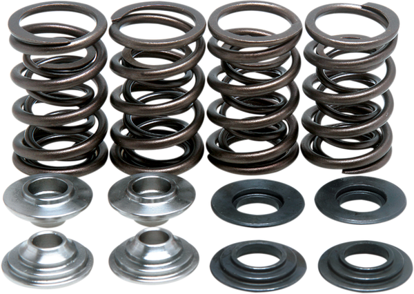 Valve Spring Kit, 1, nordicamoto.ro