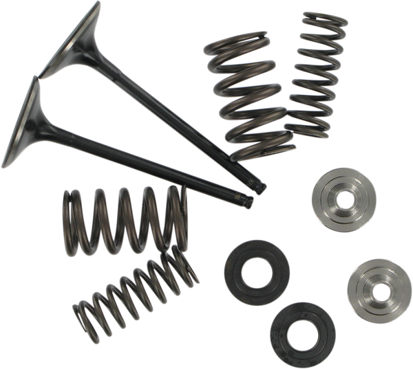 Stainless Steel Conversion Valve And Spring Kit, 1, nordicamoto.ro