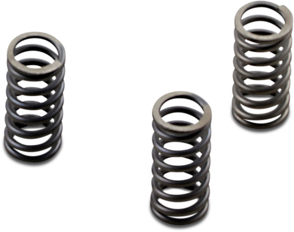 Csk Series Heavy Duty Clutch Spring Kit, 2, nordicamoto.ro