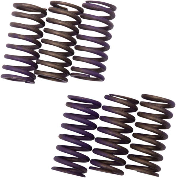 Hi-temp Clutch Spring Kit Steel, 1, nordicamoto.ro