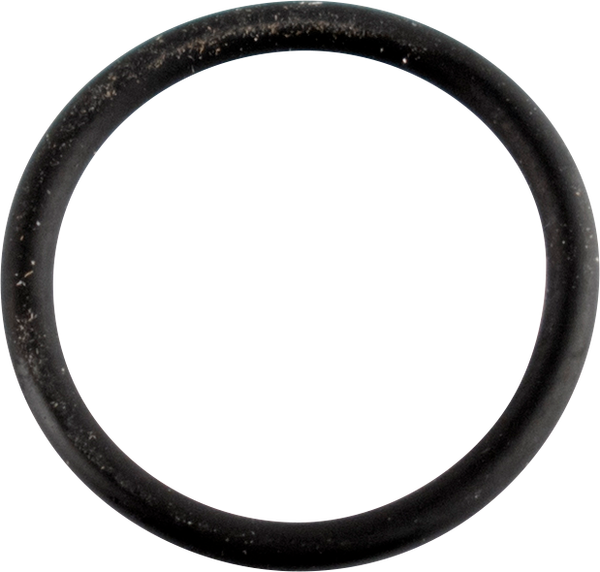Cam Sensor O-ring, 1, nordicamoto.ro