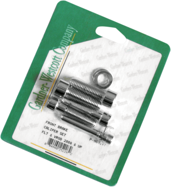 Caliper Mounting Bolt Kit Silver, 1, nordicamoto.ro
