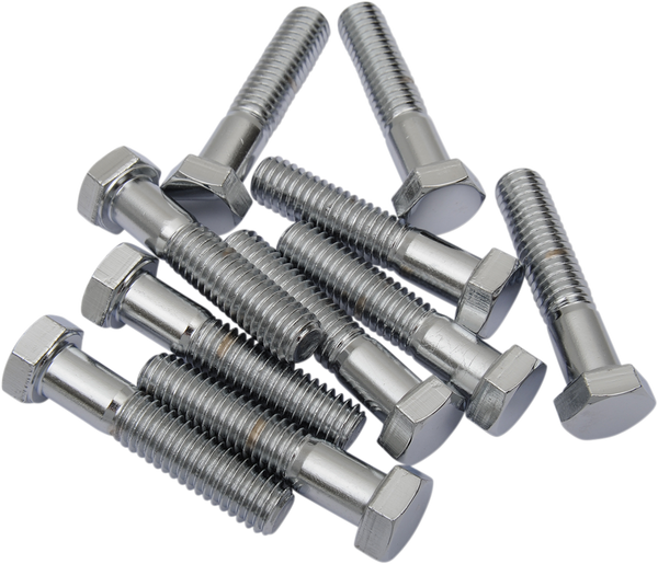Replacement Hex-head Bolts Silver, 2, nordicamoto.ro