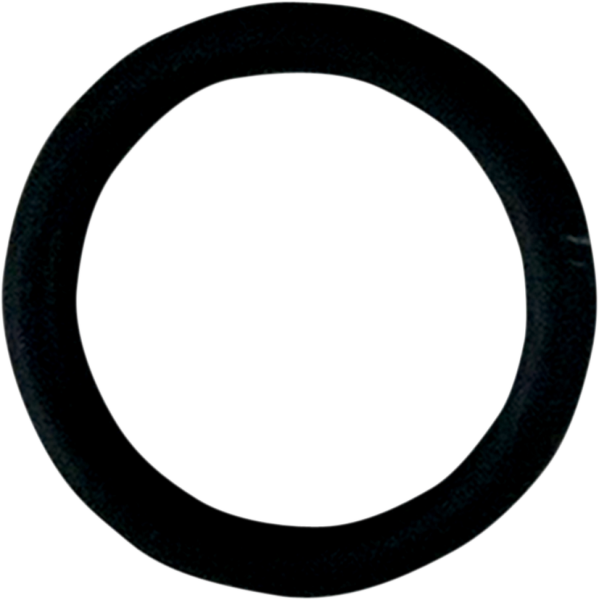 O-ring Lower Check Valve Black, 1, nordicamoto.ro