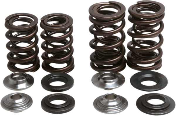 Valve Spring Kit, 1, nordicamoto.ro