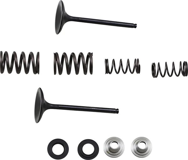 Stainless Intake Valve And Spring Kit, 2, nordicamoto.ro