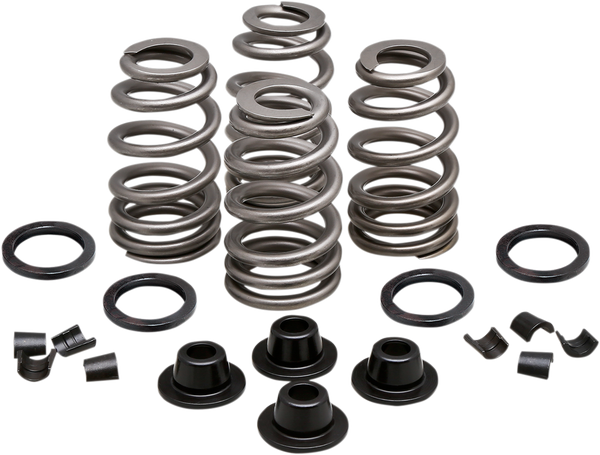 Valve Spring Kit, 1, nordicamoto.ro