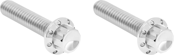 Transmission Side Cover Titanium 12-Point Bolt Cover Silver, 1, nordicamoto.ro