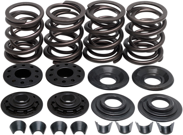 Complete Valve Spring Kit, 1, nordicamoto.ro