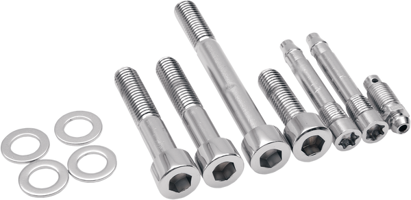 Caliper Mounting Bolt Kit Silver, 1, nordicamoto.ro