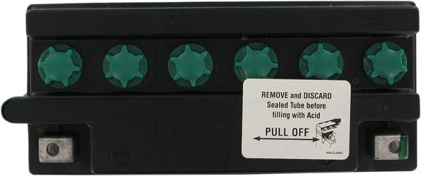 Conventional Battery, 1, nordicamoto.ro