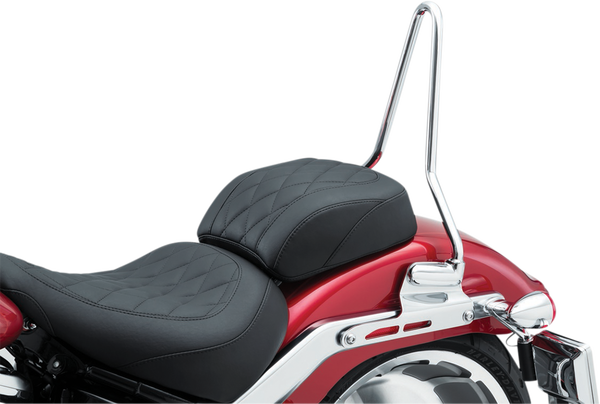 Sissy Bar Harley Davidson Black, Silver, 2, nordicamoto.ro