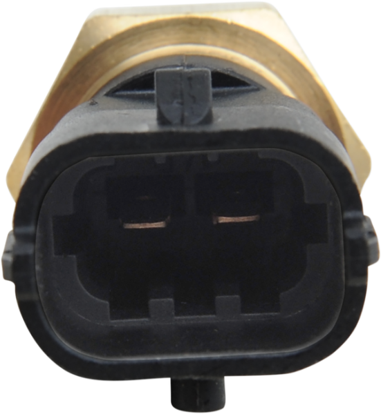 Efi Temp Sensor, 1, nordicamoto.ro