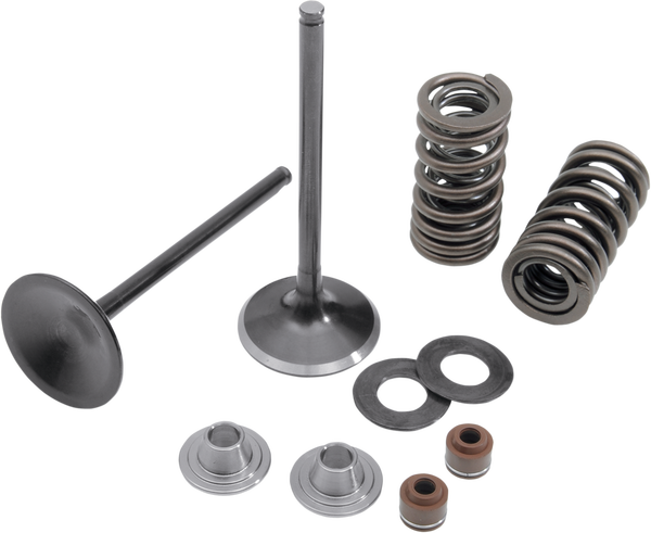 Stainless Steel Conversion Valve And Spring Kit, 1, nordicamoto.ro