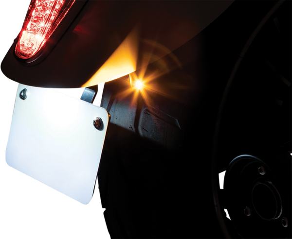 Rear Turn Signal & License Plate Mount, 1, nordicamoto.ro