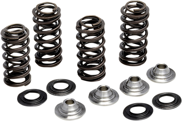 Valve Spring Kit, 1, nordicamoto.ro