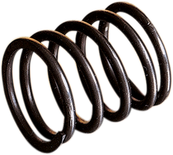 Rotary Valve Spring, 1, nordicamoto.ro
