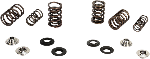 Valve Spring Kit, 1, nordicamoto.ro