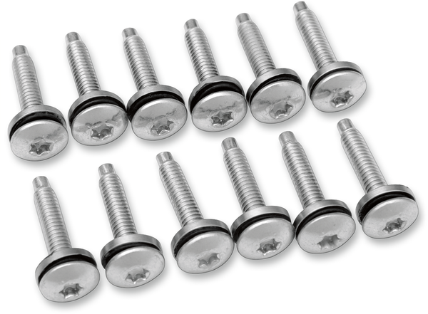 Fuel Pump Top Plate Hardware Kit Silver, 1, nordicamoto.ro
