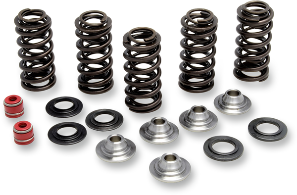 Valve Spring Kit, 1, nordicamoto.ro
