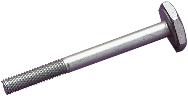 Replacement Timing Bolt Silver, 1, nordicamoto.ro