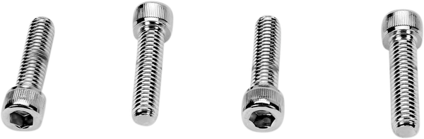 Bolt Set Silver, 1, nordicamoto.ro