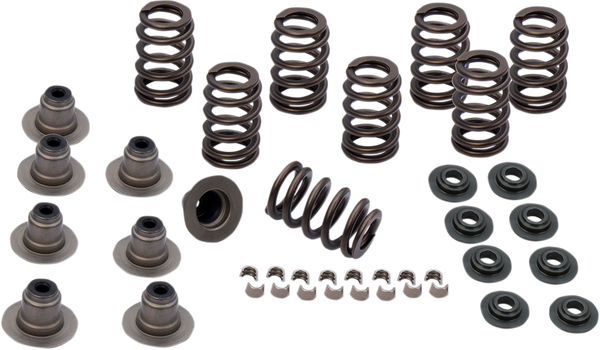 Valve Spring Kit, 1, nordicamoto.ro