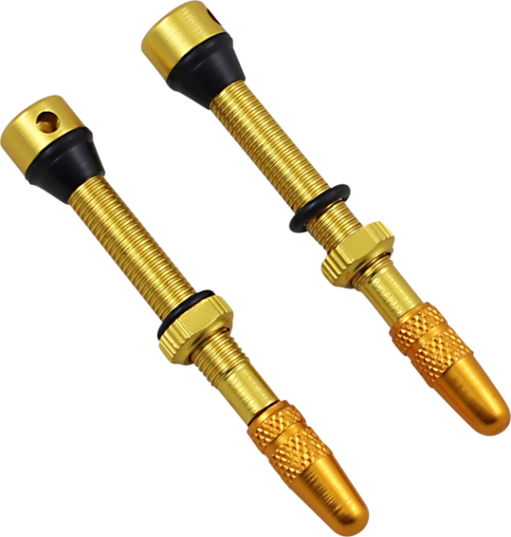 (r)no Clog®(r) Valve Stems, 1, nordicamoto.ro