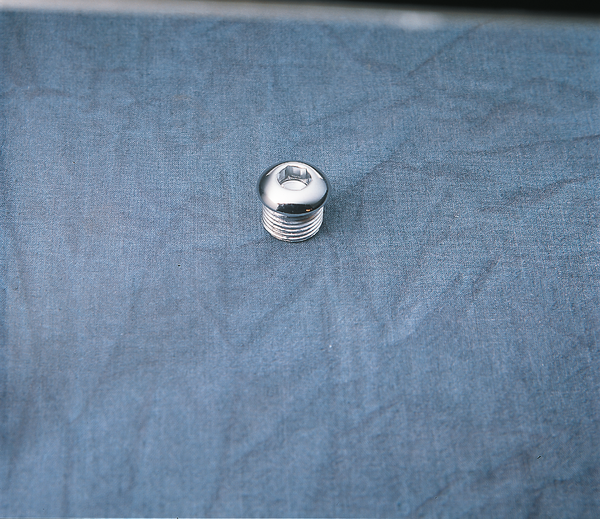 Timing And Oil Tank Drain Plug Silver, 1, nordicamoto.ro