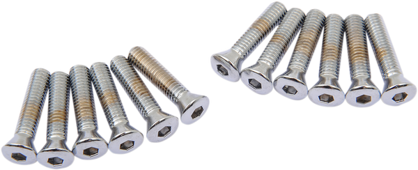 Cover Bolt Set Silver, 1, nordicamoto.ro