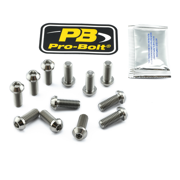 Brake Rotor Mounting Bolt Kit Silver, Unfinished, 1, nordicamoto.ro