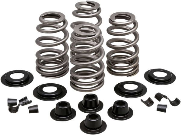 Valve Spring Kit, 1, nordicamoto.ro