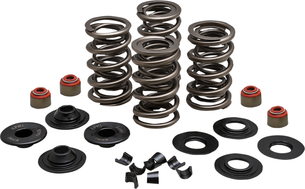 Lightweight Racing Valve Spring Kit, 1, nordicamoto.ro