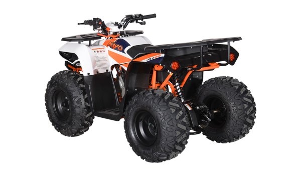 KAYO AU125 gyermek-ATV, 7, nordicamoto.ro