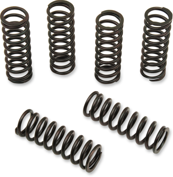 Clutch Spring Kit Black, 1, nordicamoto.ro