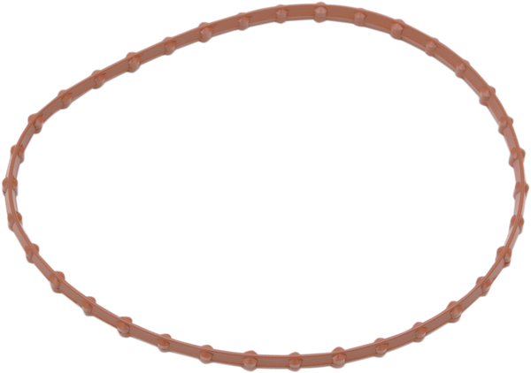 Fuel Pump Door Seal Brown, 1, nordicamoto.ro