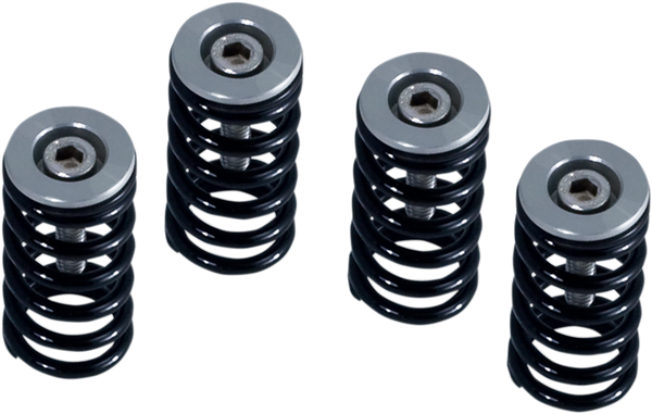 Clutch Spring Kit Black, Clear, Powder-coated, Anodized, 1, nordicamoto.ro