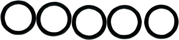 O-ring Lwr Checkvalve 5pk Black, 1, nordicamoto.ro