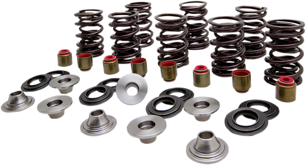 Valve Spring Kit, 1, nordicamoto.ro