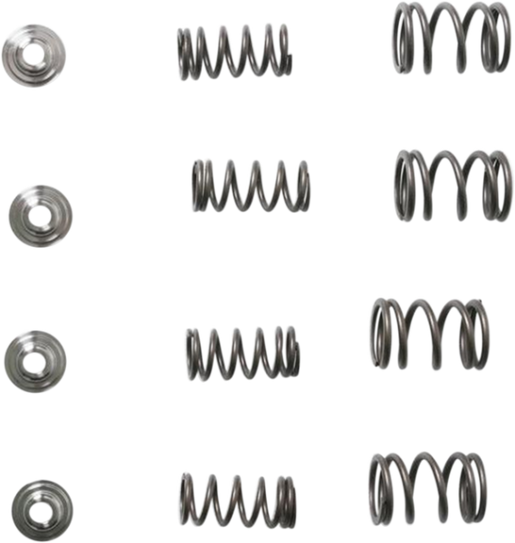 Valve Spring Kit, 1, nordicamoto.ro