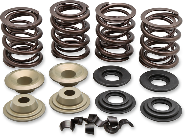 Complete Valve Spring Kit, 1, nordicamoto.ro