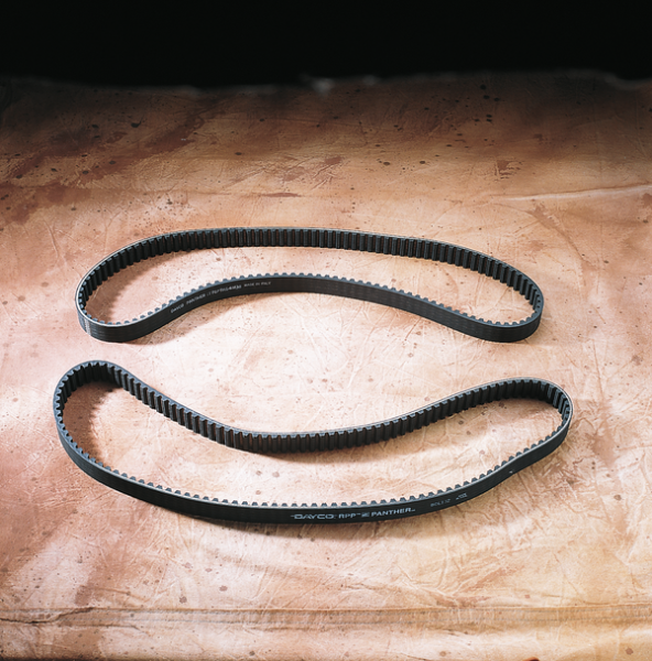 Rear Drive Belt, 2, nordicamoto.ro