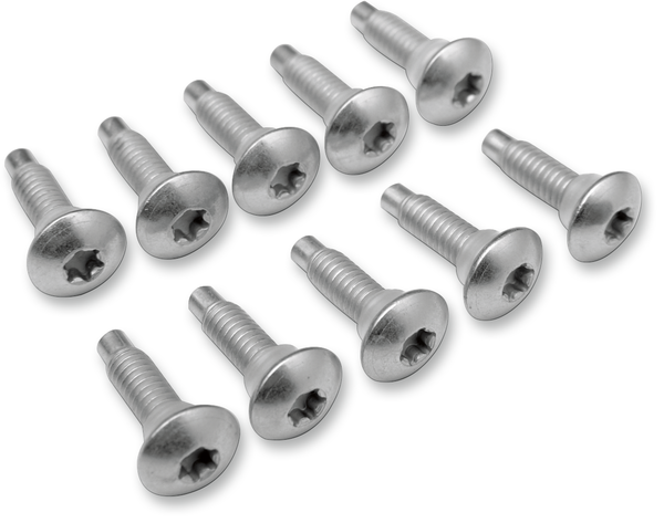 Fuel Pump Top Plate Hardware Kit Silver, 1, nordicamoto.ro