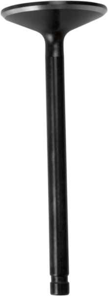 Nitrided Valve Conversion, 1, nordicamoto.ro