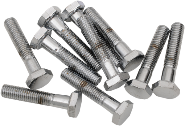 Fine-thread Hex-head Bolt Assortment Silver, 2, nordicamoto.ro