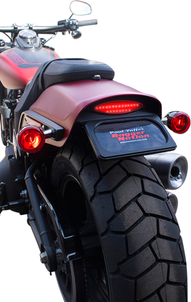 License Plate Relocation Frame W/taillight White, 3, nordicamoto.ro