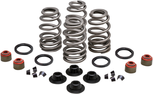 Valve Spring Kit, 1, nordicamoto.ro