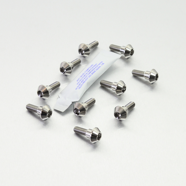 Brake Rotor Mounting Bolt Kit Silver, Unfinished, 2, nordicamoto.ro