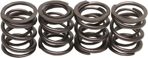 Valve Spring Kit, 2, nordicamoto.ro